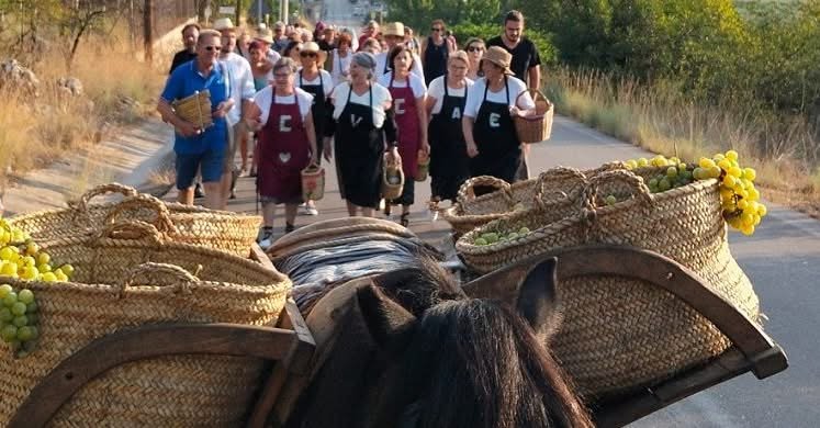 L’Escaldà in Llíber: The Spanish Raisin Festival Keeping an Ancient Tradition Alive