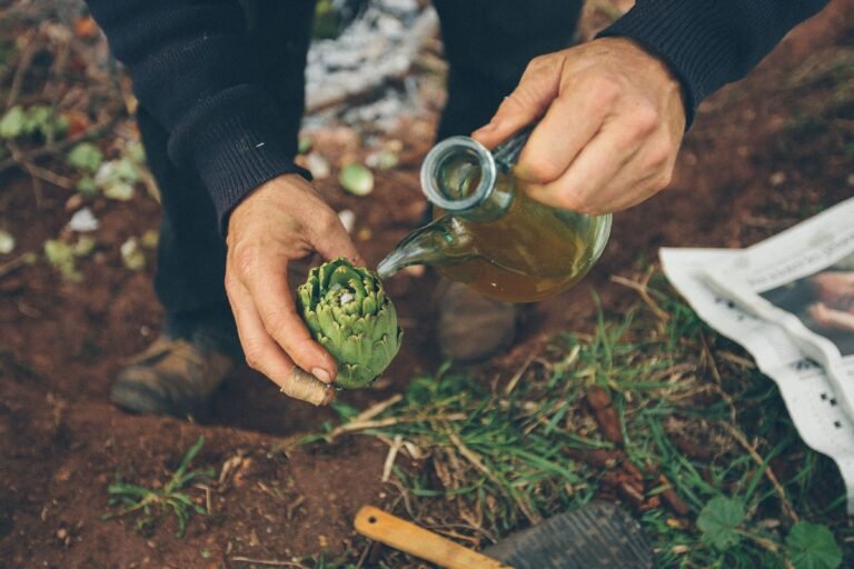 Alcachofas a la Plancha – Spanish Grilled Artichokes with Olive Oil and Lemon
