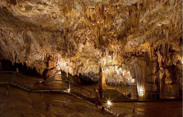 Cova del Rull: The Spanish Cave Discovered by a Rabbit