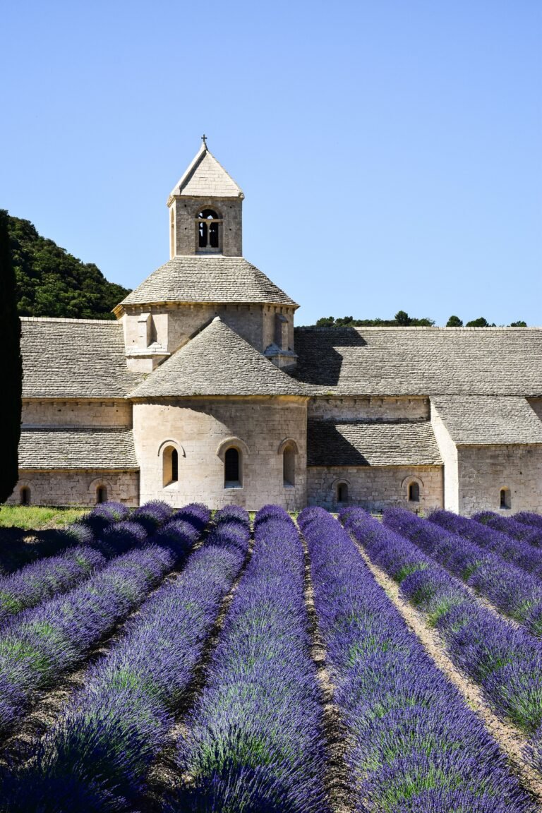 The Provencal Lavender Honey Guide: How to Spot the Real Label (Miel de Provence)