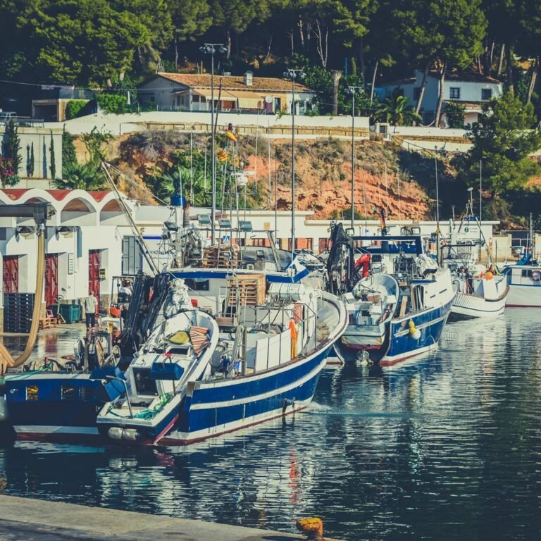 A Morning in Jávea: Fresh Fish, Fishing Boats and Coffee by the Sea