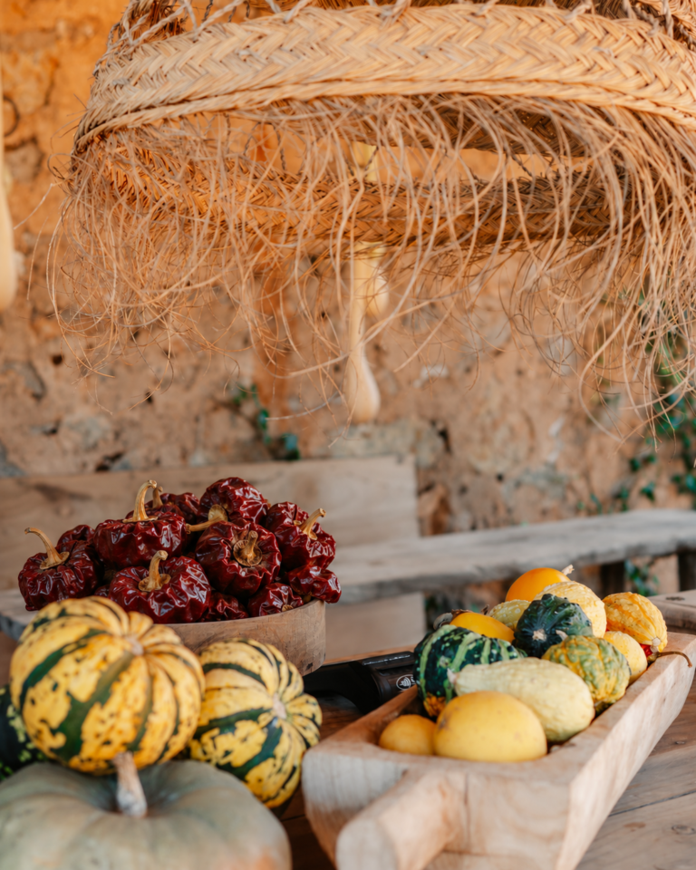 Ñora Peppers: The Tiny Spanish Pepper Behind Big Mediterranean Flavour