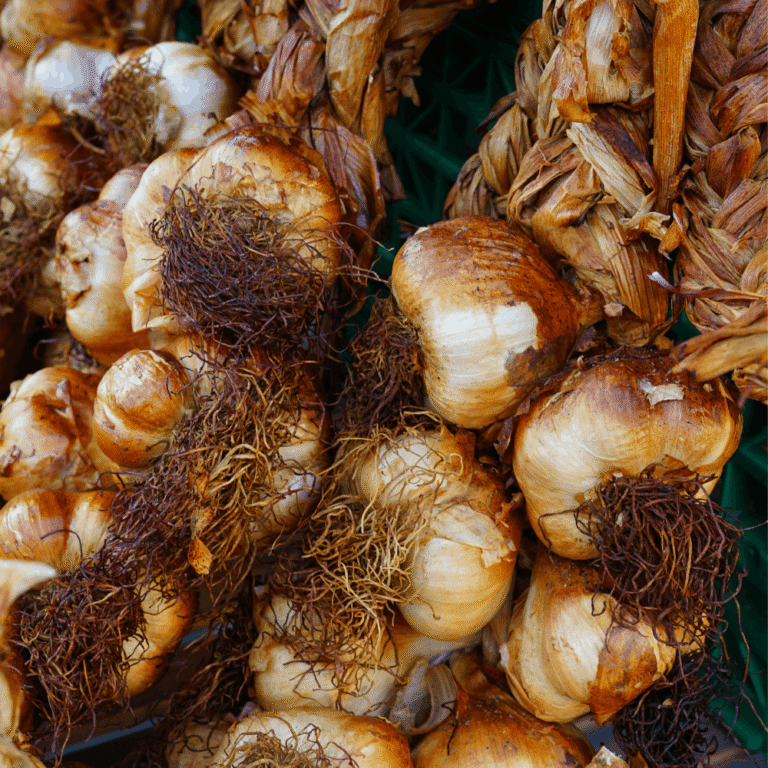 The Smoked Garlic Guide: The Golden, Smoky Secret from Northern France
